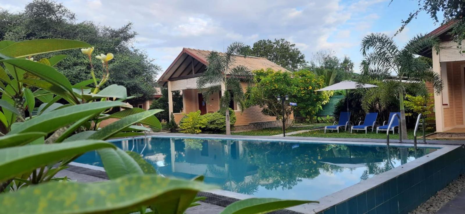 Tringa Yala * Kirinda (Hambantota)