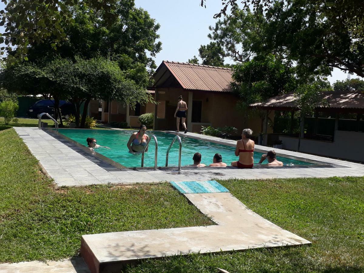 Tringa Yala Kirinda (Hambantota)
